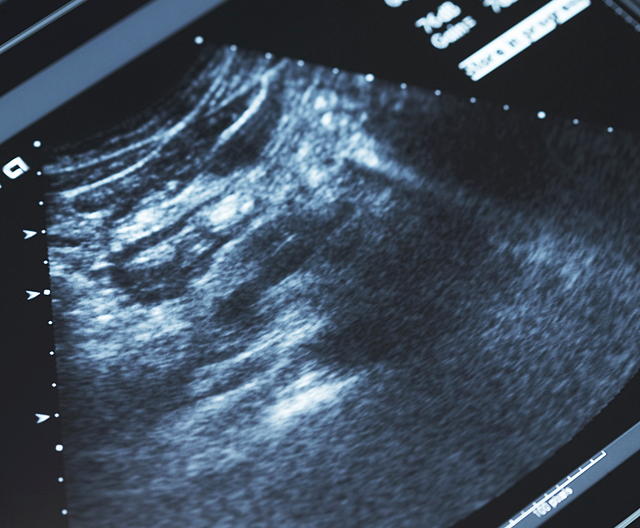 대추나무한의원